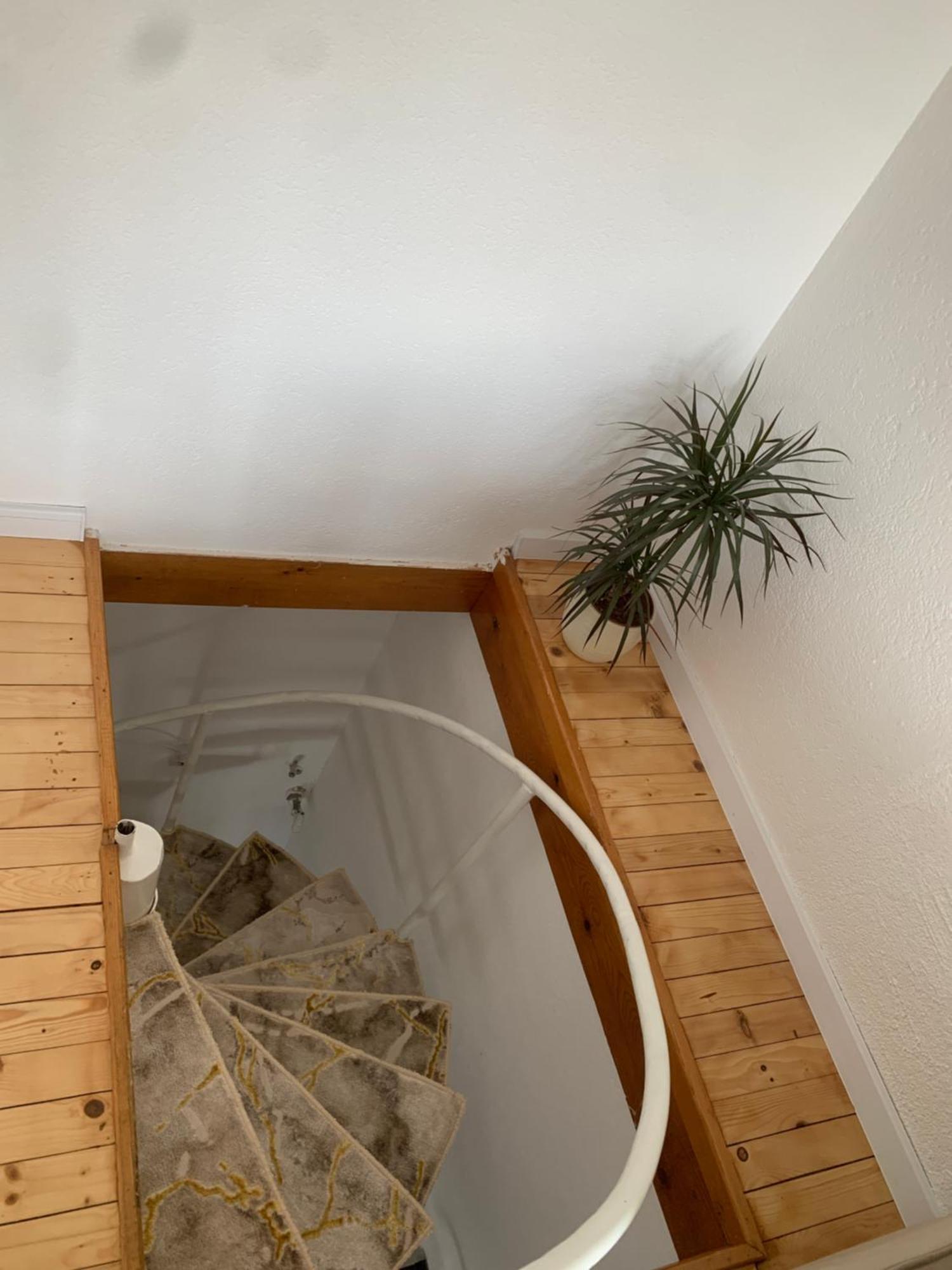 Ferienwohnung Little Heaven Free Parking SJJ Exterior foto